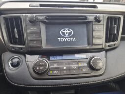 Rav4 full